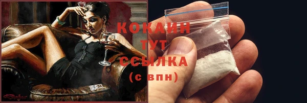 индика Навашино