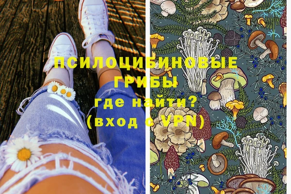 индика Навашино
