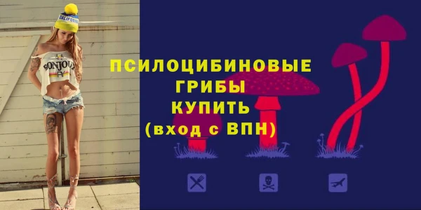 индика Навашино