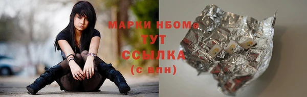индика Навашино