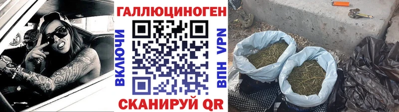 Купить закладки  Змеиногорск  Псилоцибиновые грибы Psilocybe 